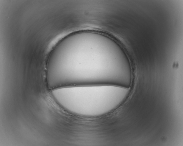 X0000111221363200907020950