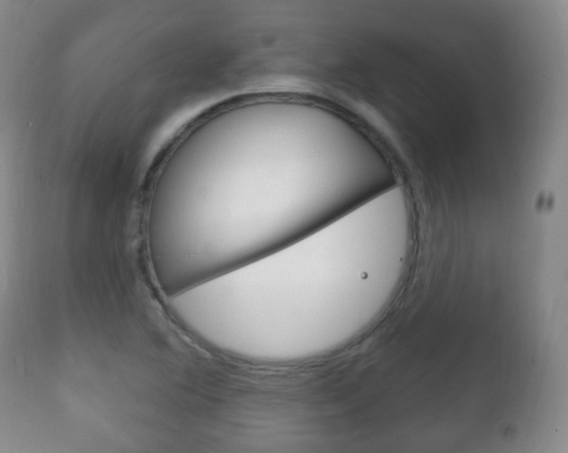 X0000111221364200907020950
