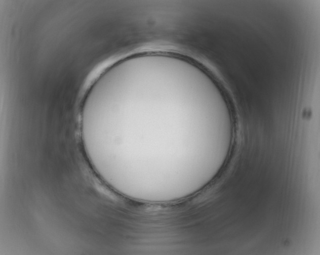 X0000111221366200907020950