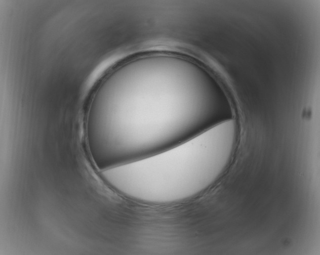 X0000111221368200907020950