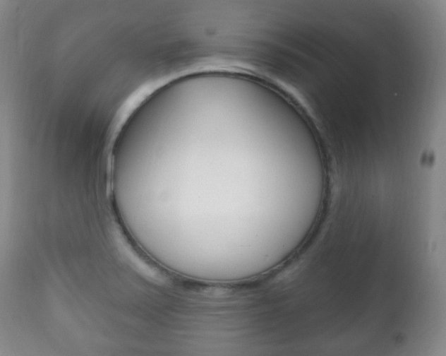 X0000111221371200907020950