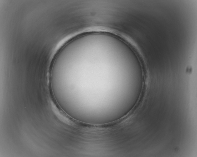 X0000111221372200907020950
