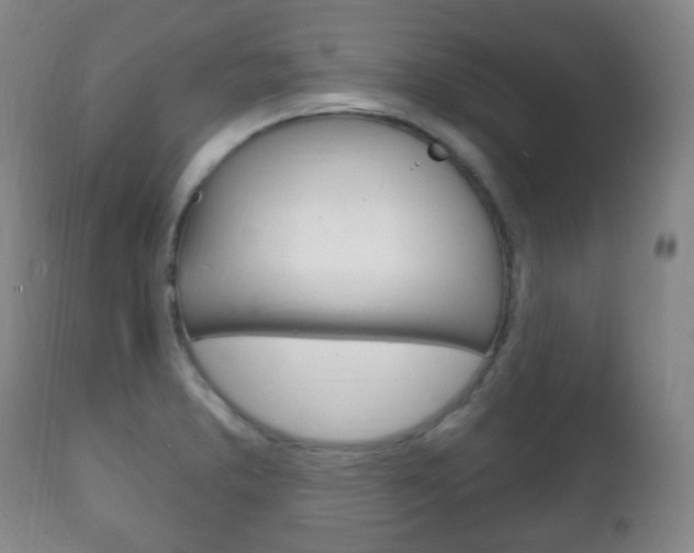 X0000111221373200907020950