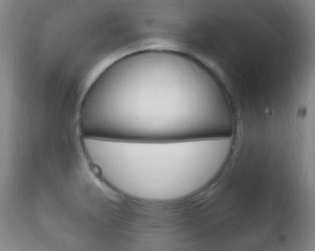 X0000111221375200907020950
