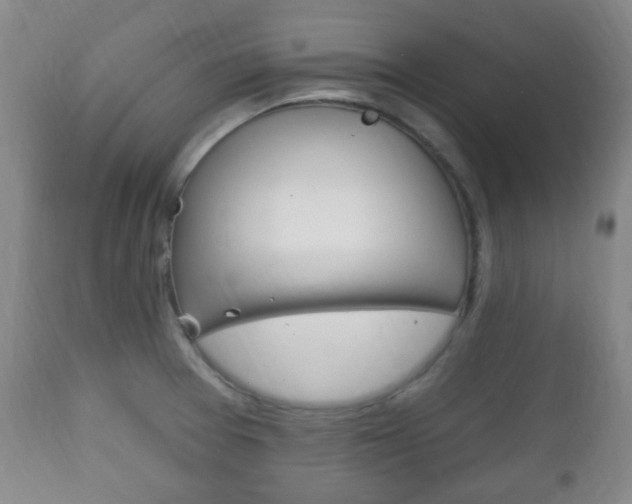 X0000111221377200907020950
