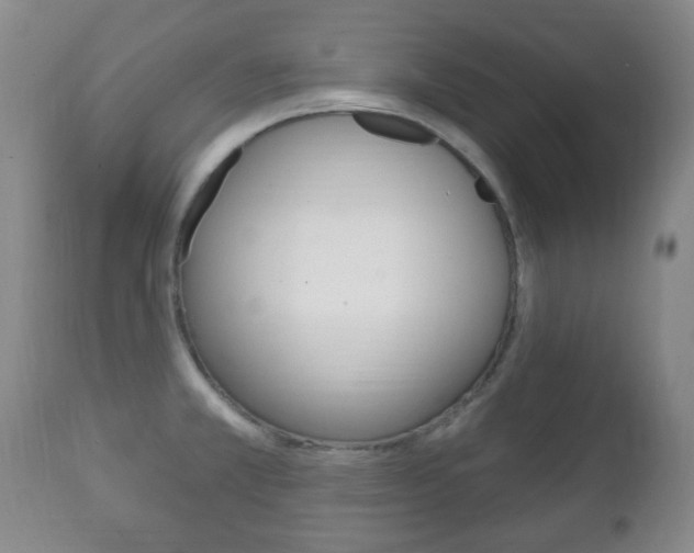 X0000111221381200907020950
