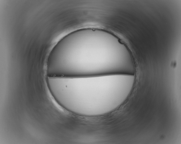 X0000111221383200907020950