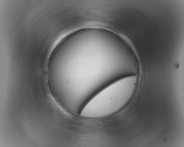 X0000111221384200907020950