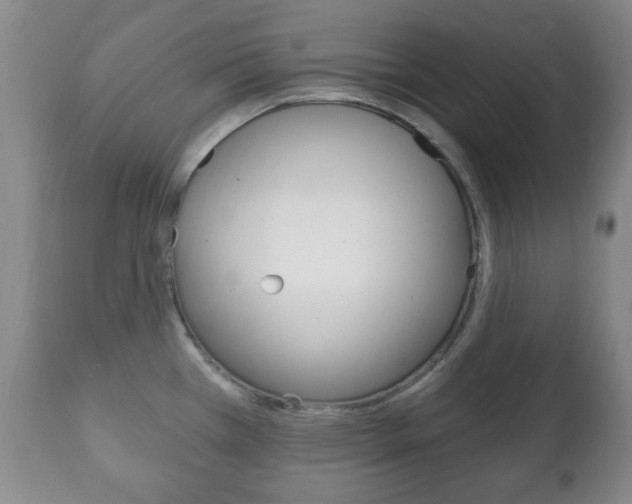 X0000111221385200907020950