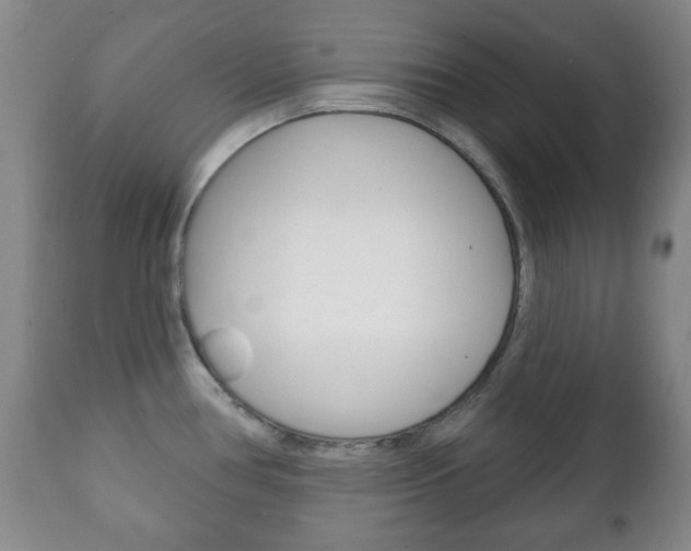 X0000111221386200907020950