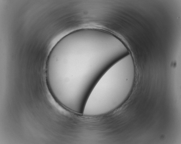 X0000111221387200907020950
