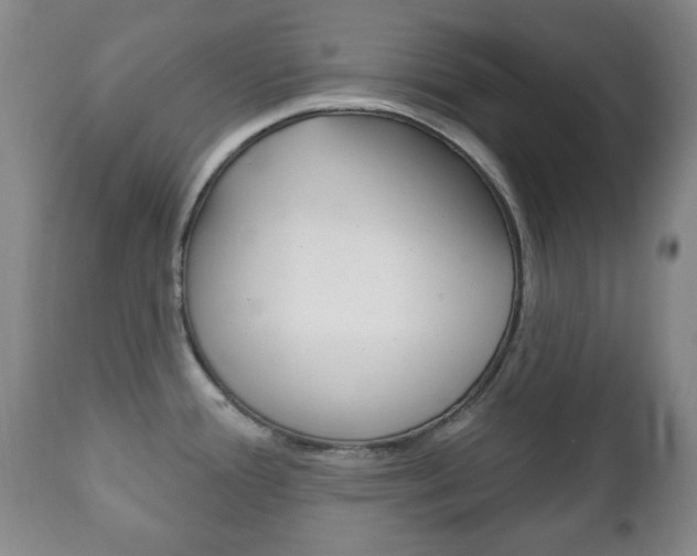 X0000111221388200907020950