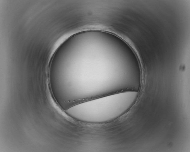 X0000111221389200907020950