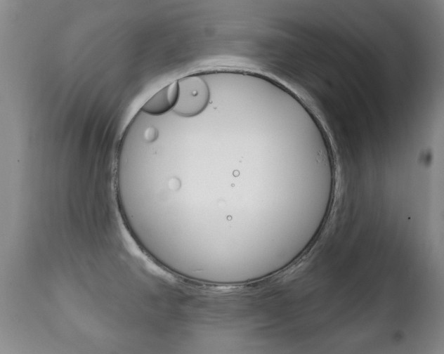 X0000111221390200907020949