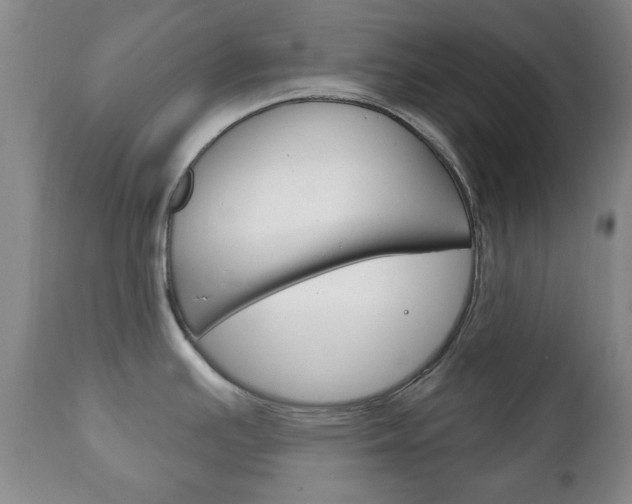 X0000111221391200907020949