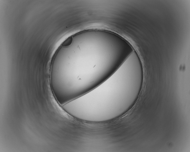X0000111221392200907020949