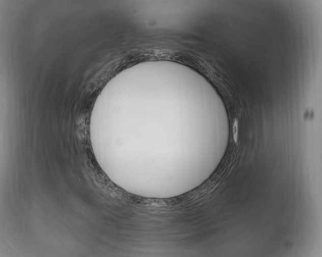 X0000111221395200907020949