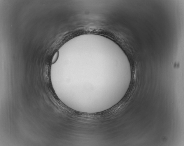 X0000111221396200907020949