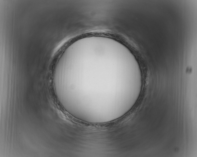X0000111221400200907020949