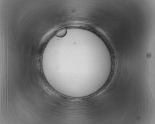 X0000111221403200907020949