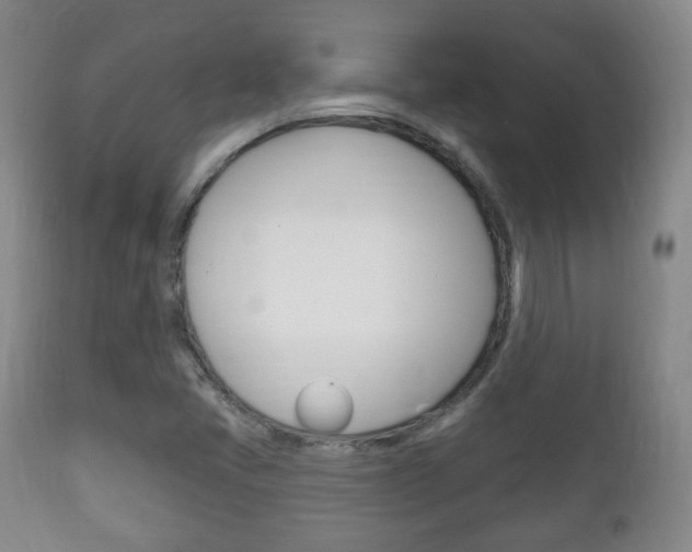 X0000111221405200907020949