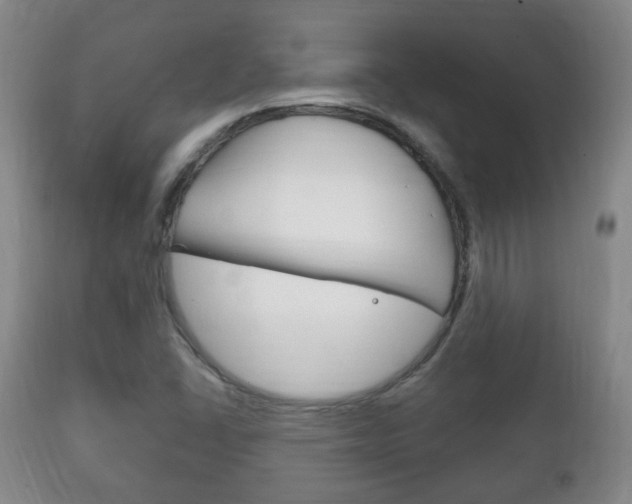 X0000111221406200907020949