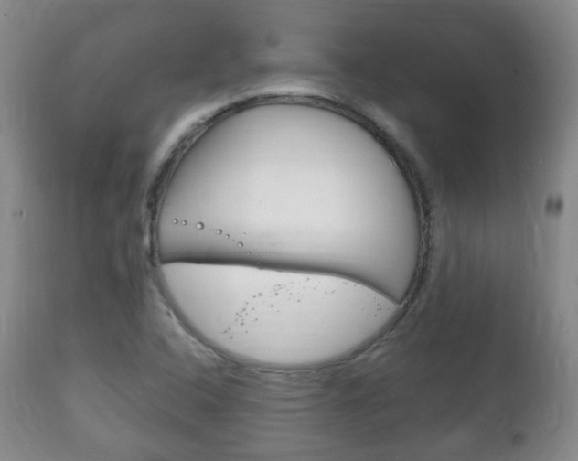 X0000111221408200907020949