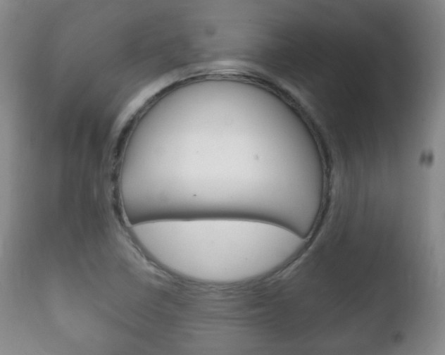 X0000111221410200907020949