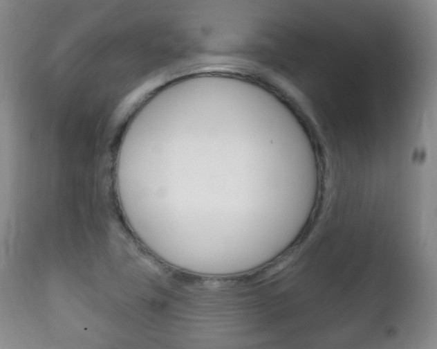 X0000111221411200907020949
