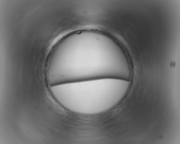 X0000111221412200907020949