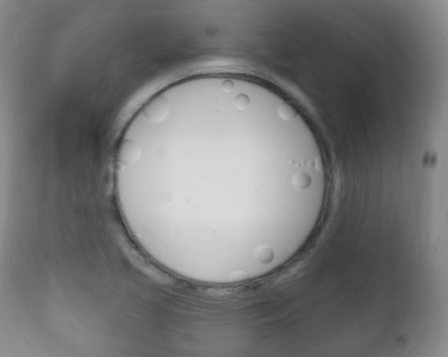 X0000111221413200907020949