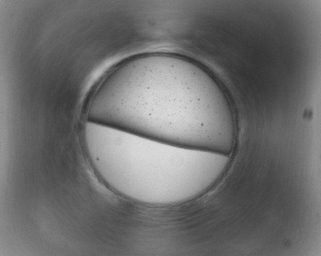 X0000111221414200907020949