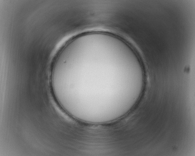 X0000111221416200907020949