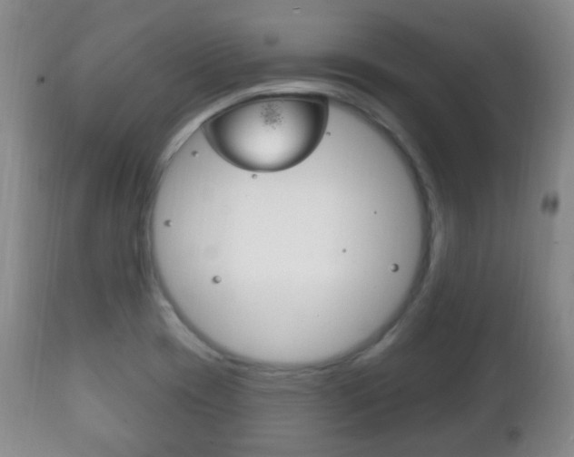 X0000111221417200907020949