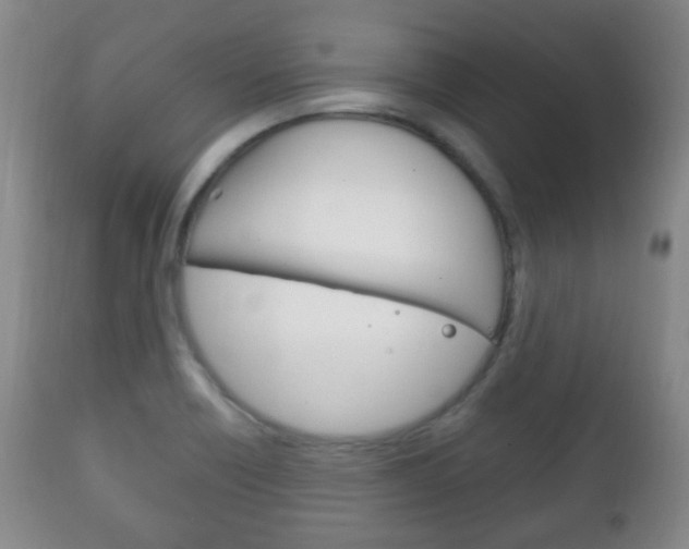 X0000111221418200907020949