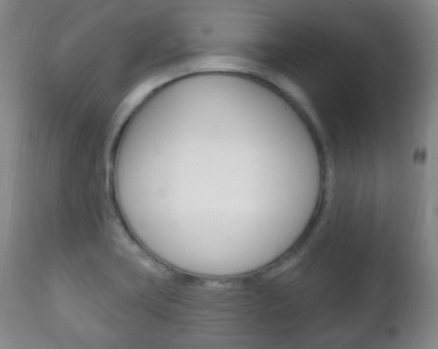 X0000111221419200907020949