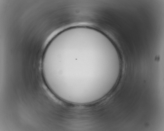 X0000111221420200907020949