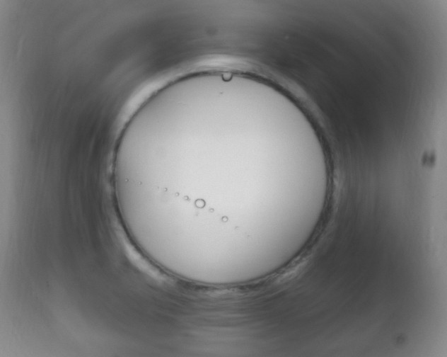 X0000111221421200907020949