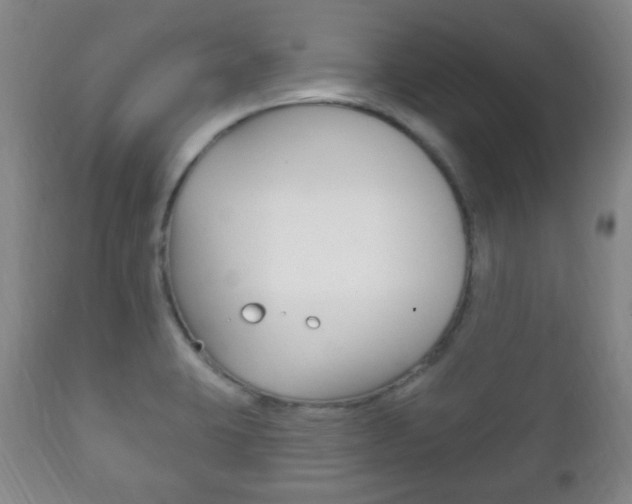 X0000111221423200907020949