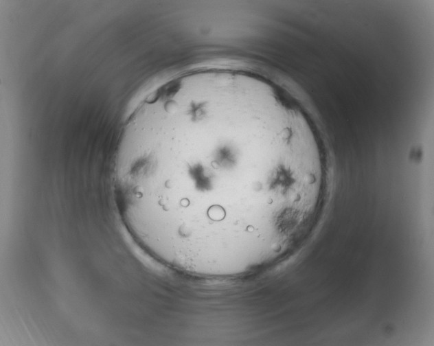 X0000111221425200907020949
