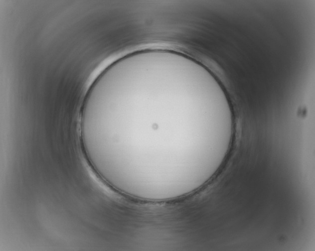 X0000111221428200907020949
