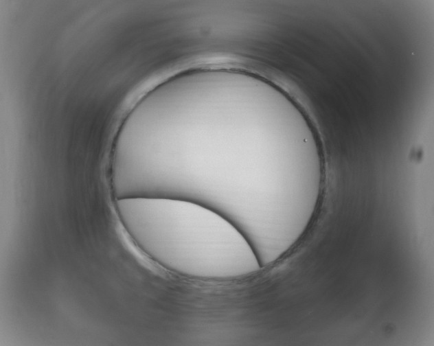 X0000111221429200907020949
