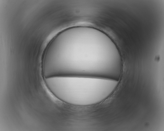 X0000111221430200907020949
