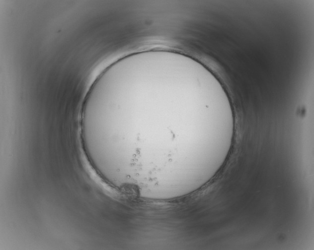 X0000111221431200907020949