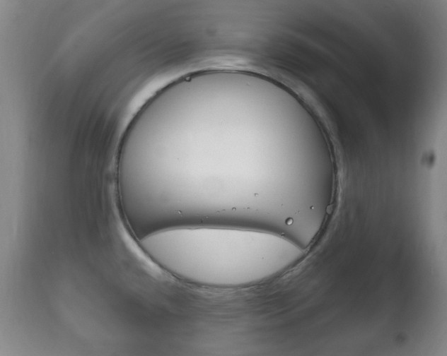 X0000111221432200907020949