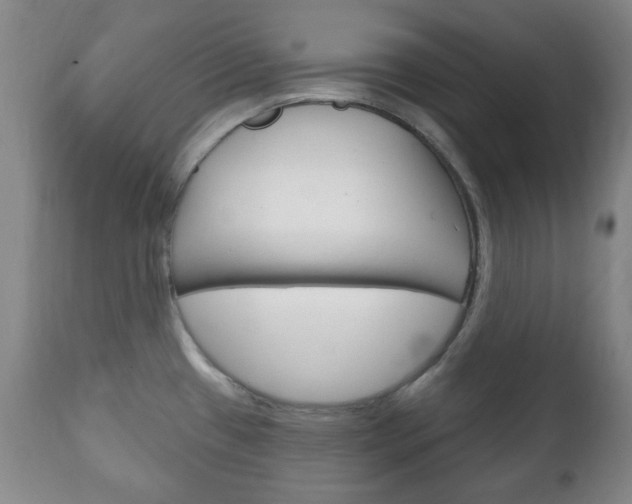 X0000111221433200907020949