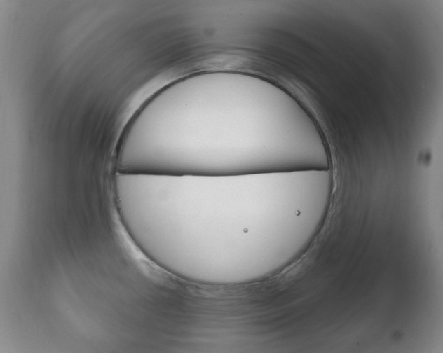 X0000111221434200907020949