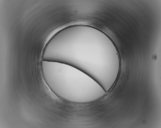 X0000111221436200907020949