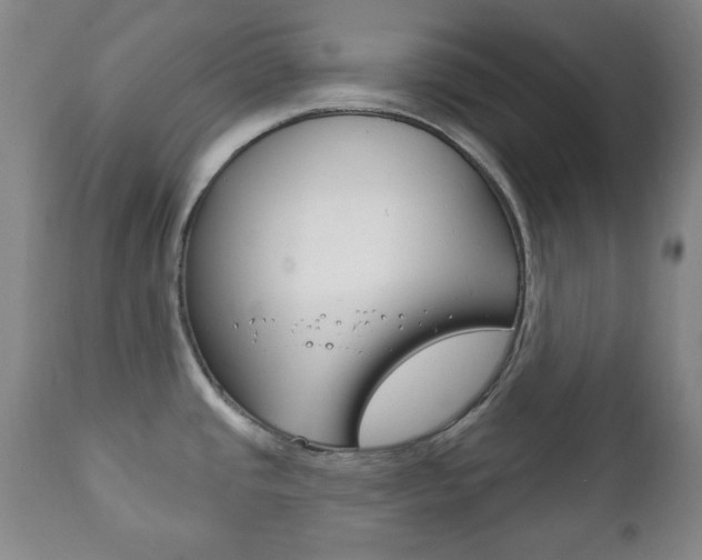 X0000111221437200907020949