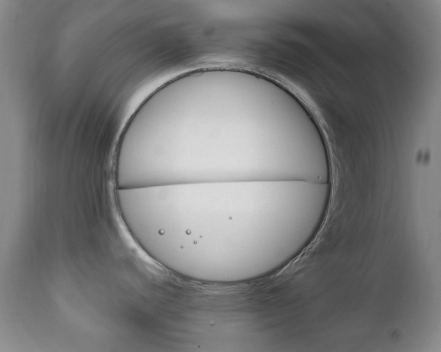 X0000111221440200907020949